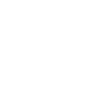 logo_verus